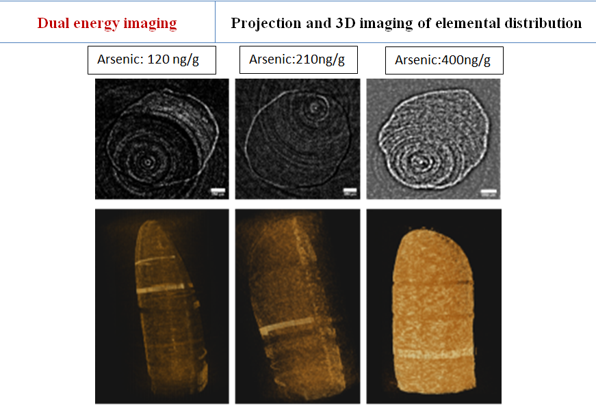  3D Mapping of Arsenic in Rice samples (concentration:120, 210 and 400 ng/g)